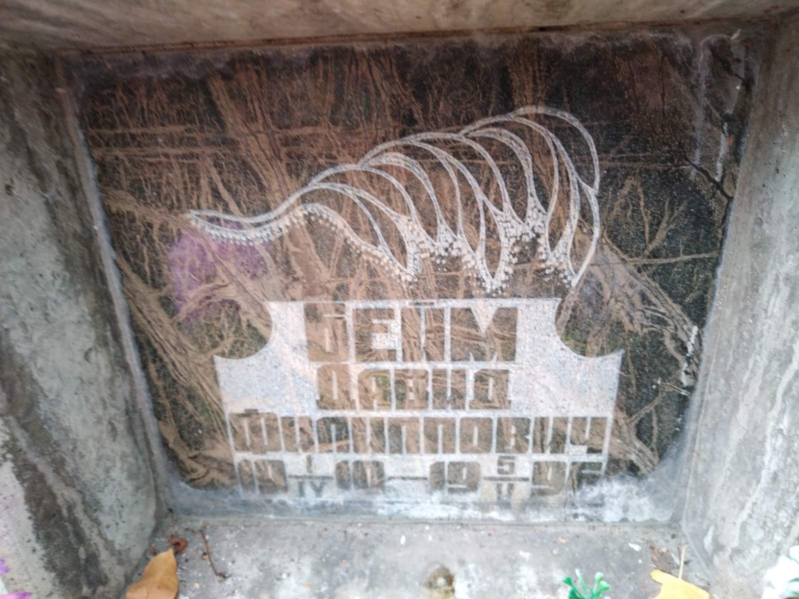 Бейм Давид Филиппович