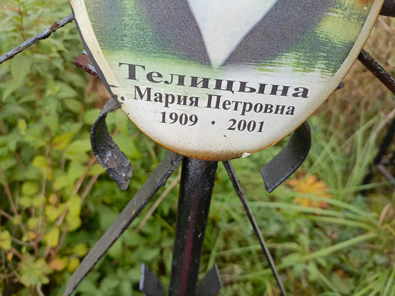 Телицына