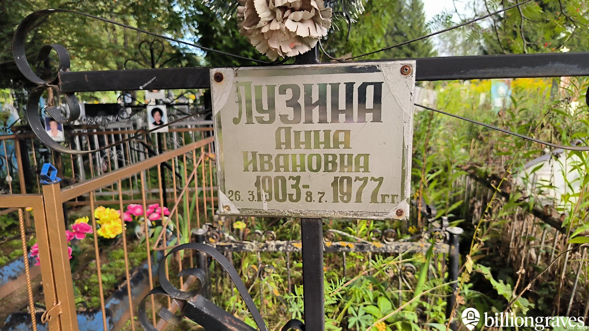 Лузина Анна Ивановна