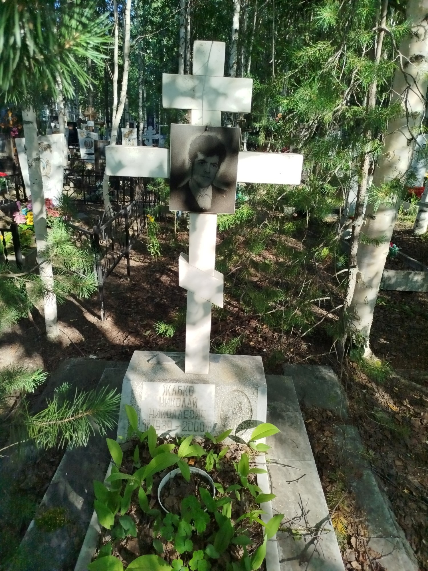 Жабко Николай Николаевич