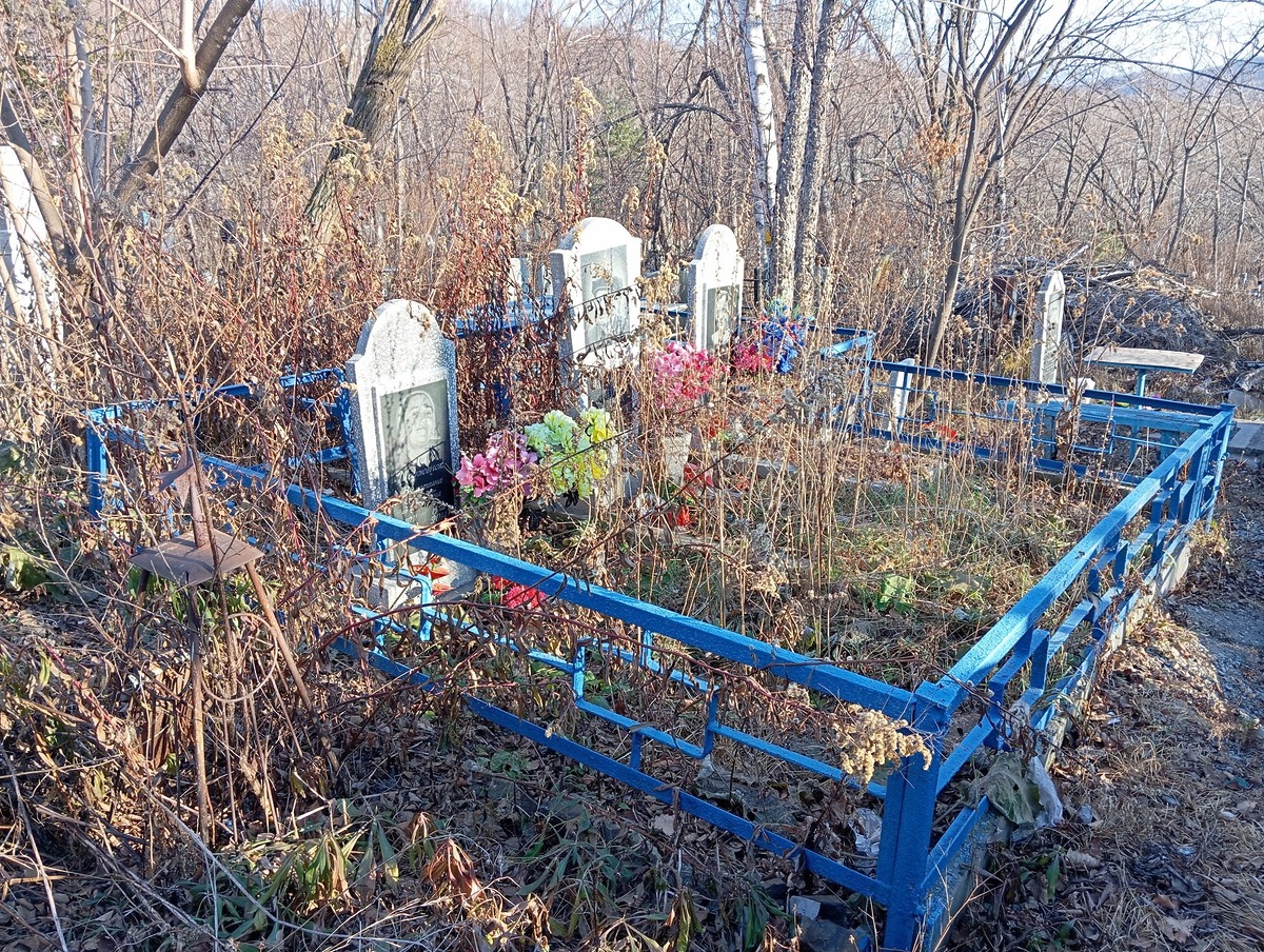 Модженок Петр Анреевич
