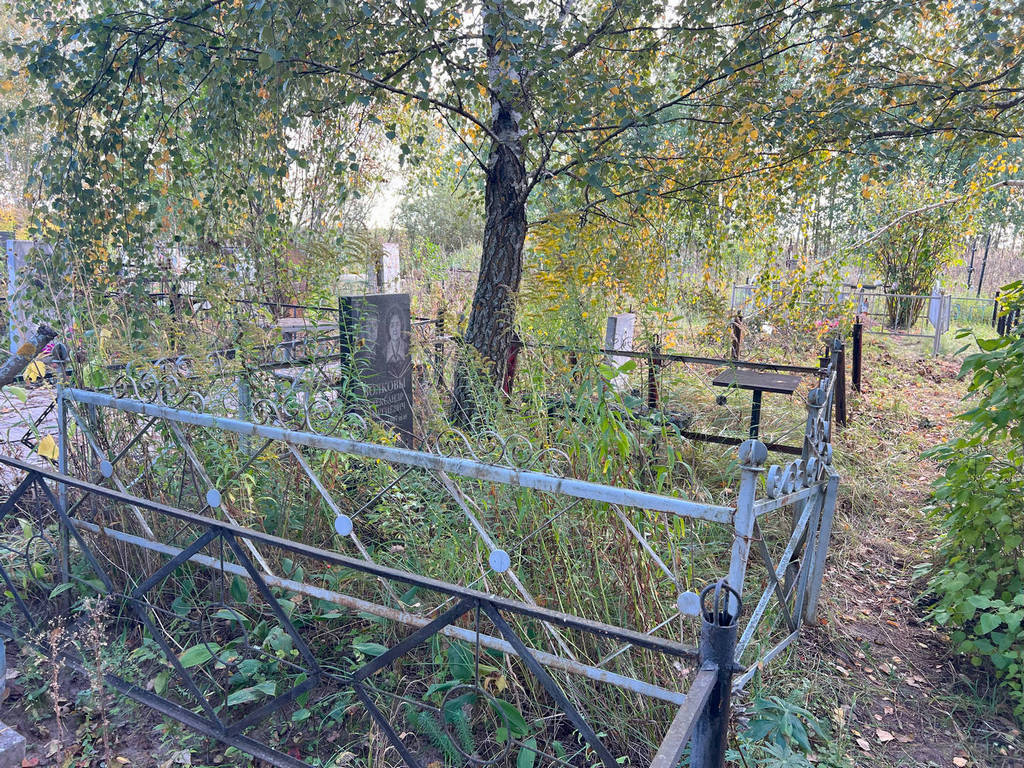 Волков Александр Георгиевич