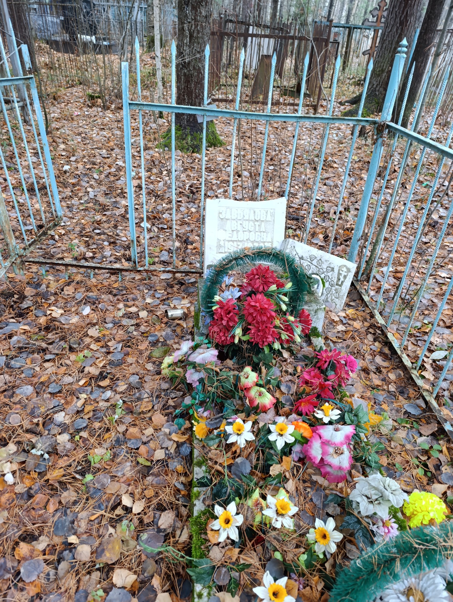 Завьялова Августа Федоровна