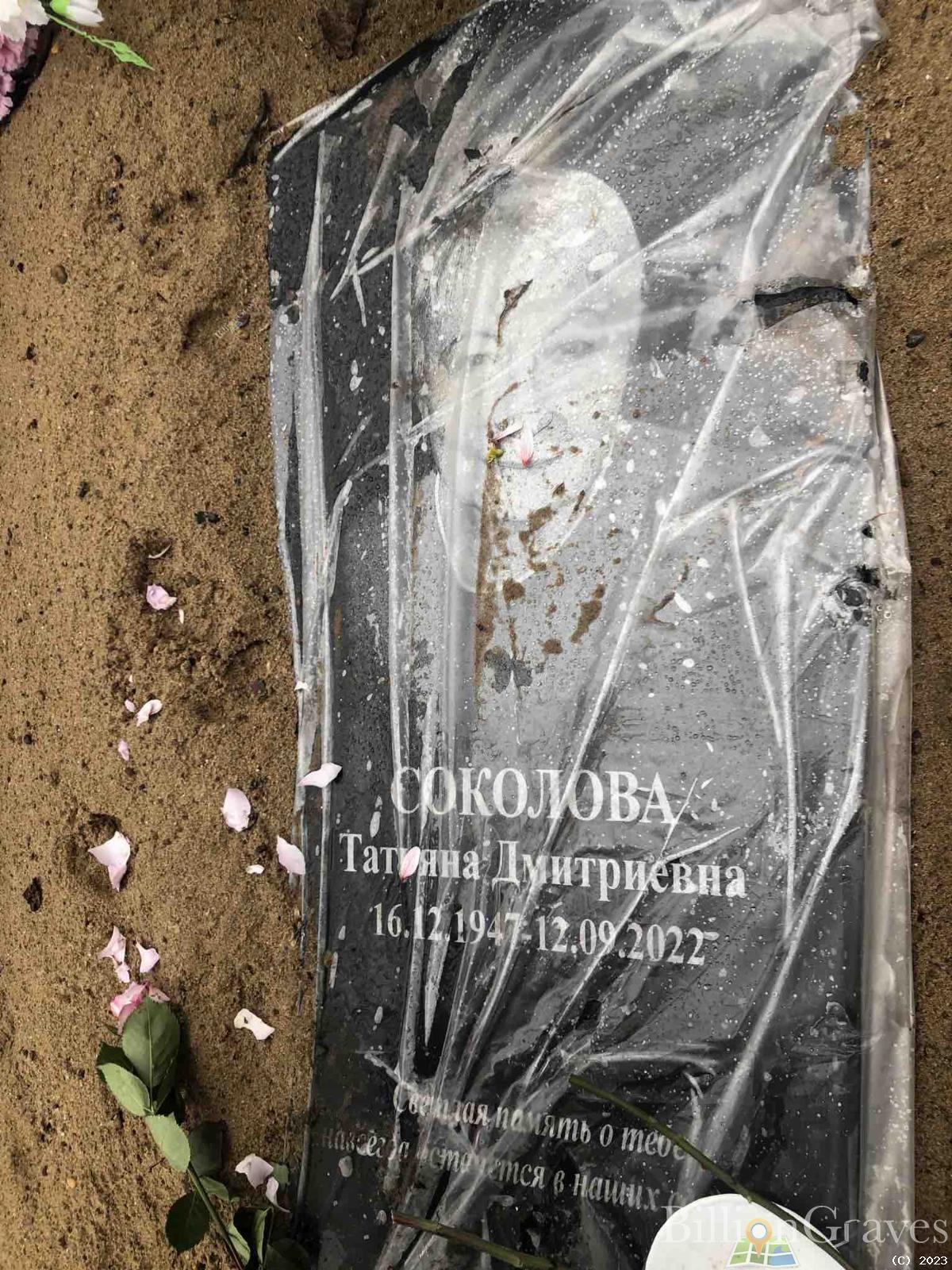 Соколова Татьяна Дмитриевна