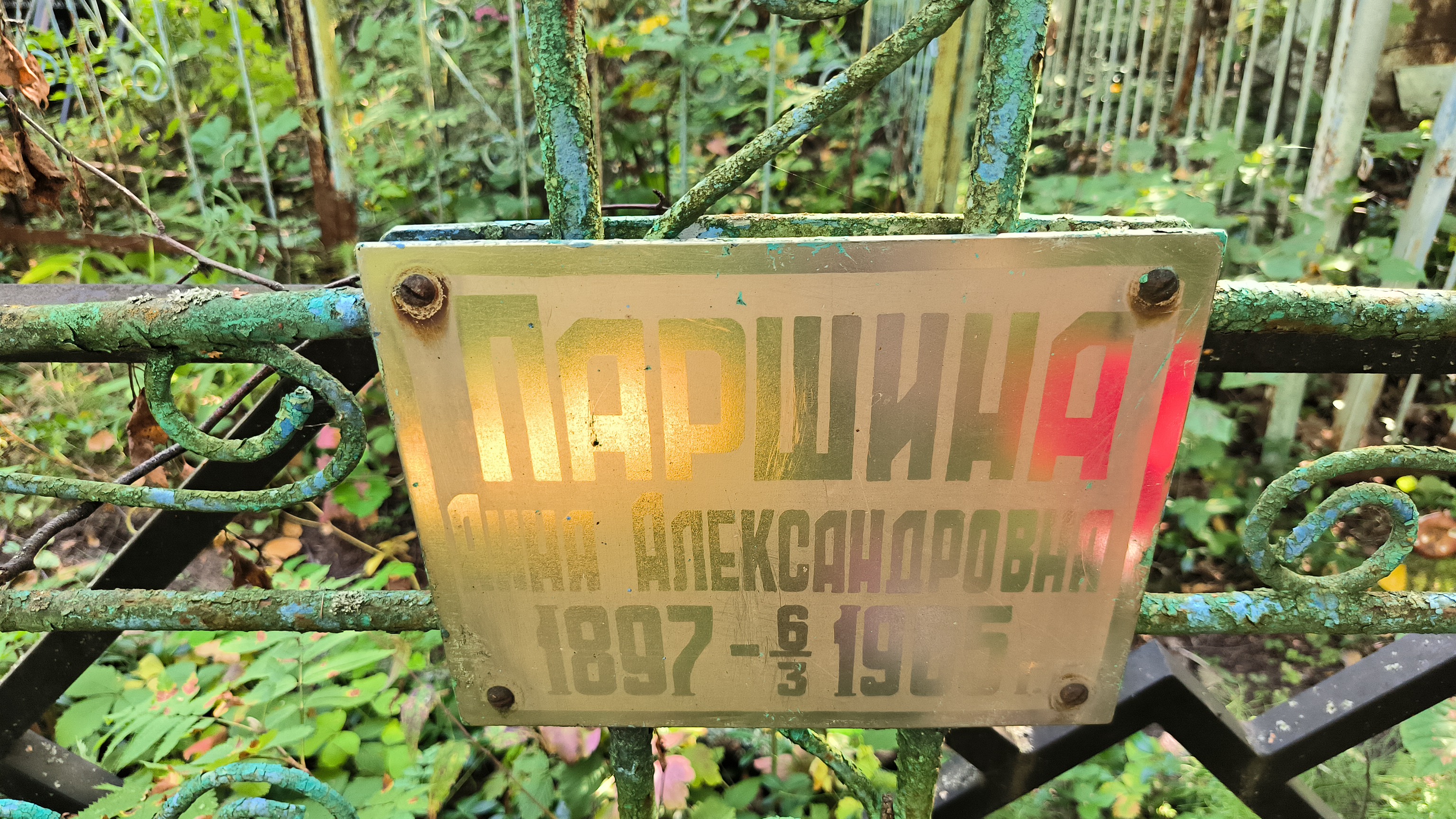 Паршина Анна Александровна