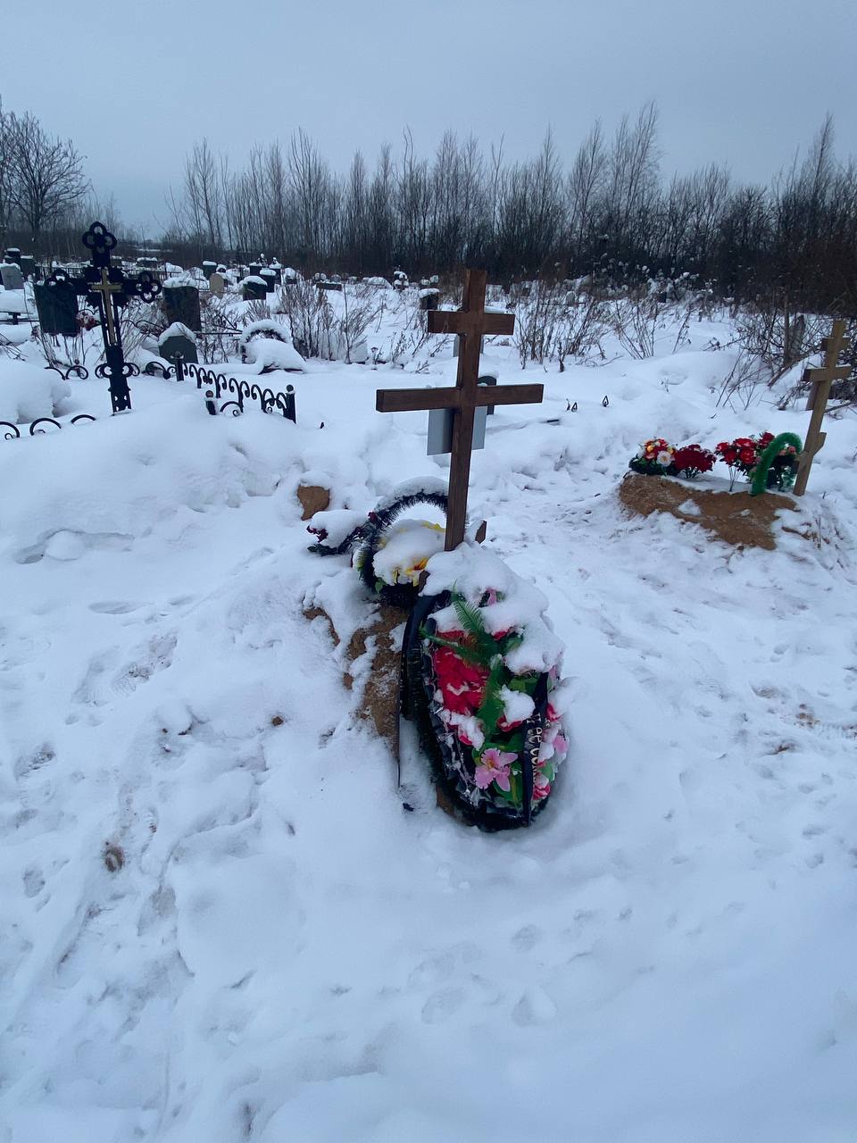 Снеткова