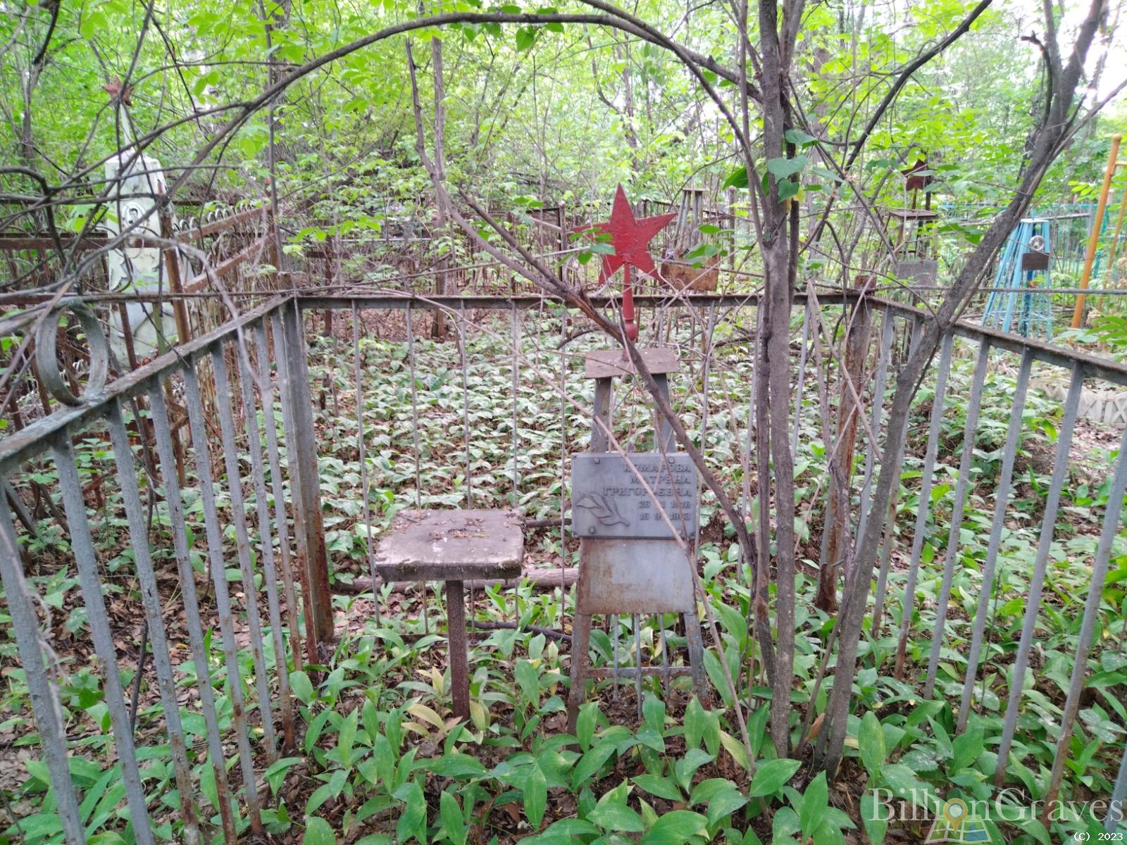 Комарова Матрена Григорьевна