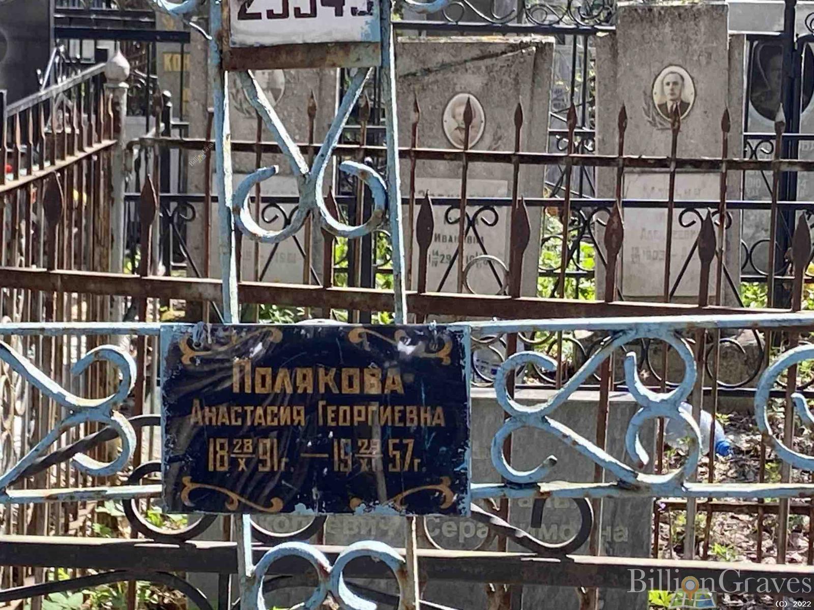 Полякова Анастасия Георгиевна
