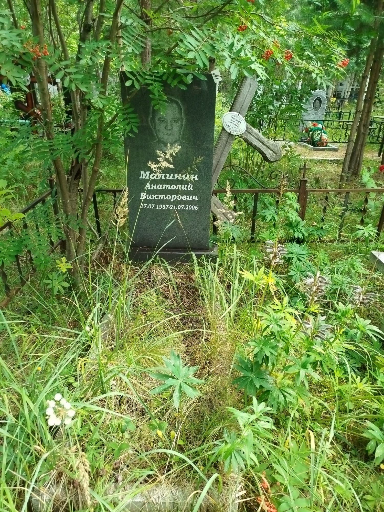 Малтинин Анатолий Викторович