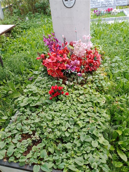 Холкина Любовь Ефимовна