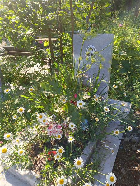 Минниахметова Аниса Глимхановна