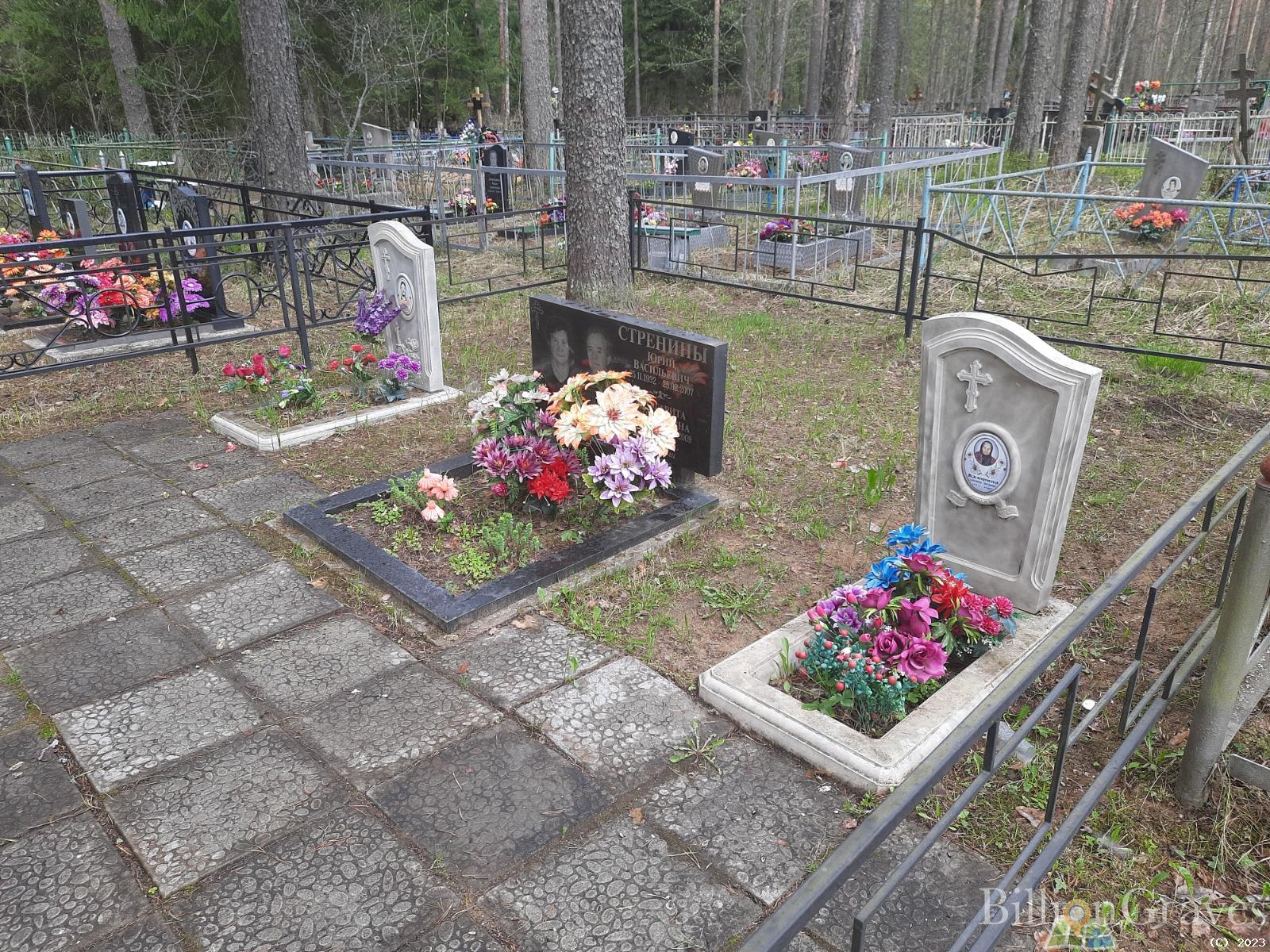 Стренина Маргарита Дмитриевна