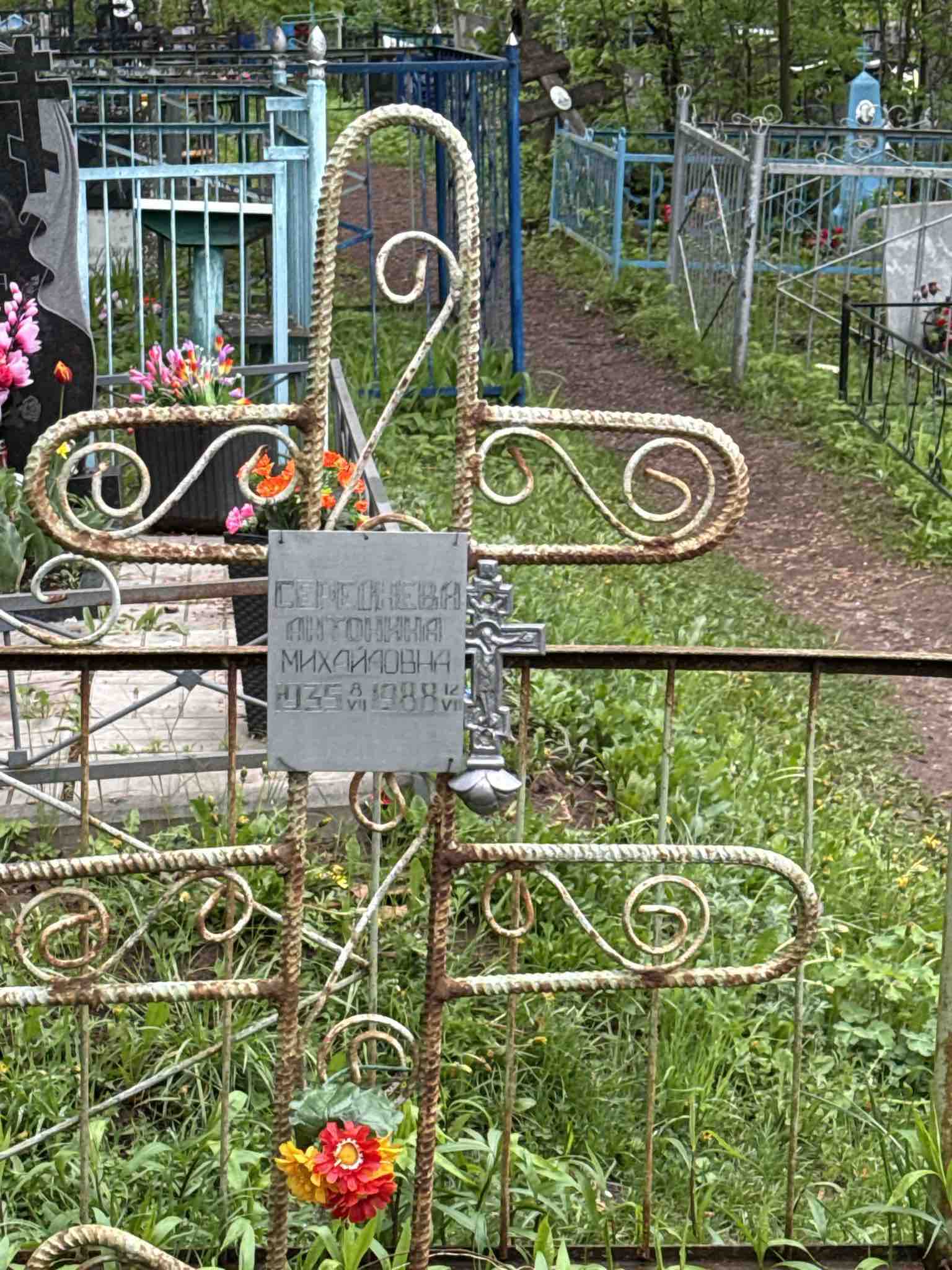 Середнева Антонина Михайловна