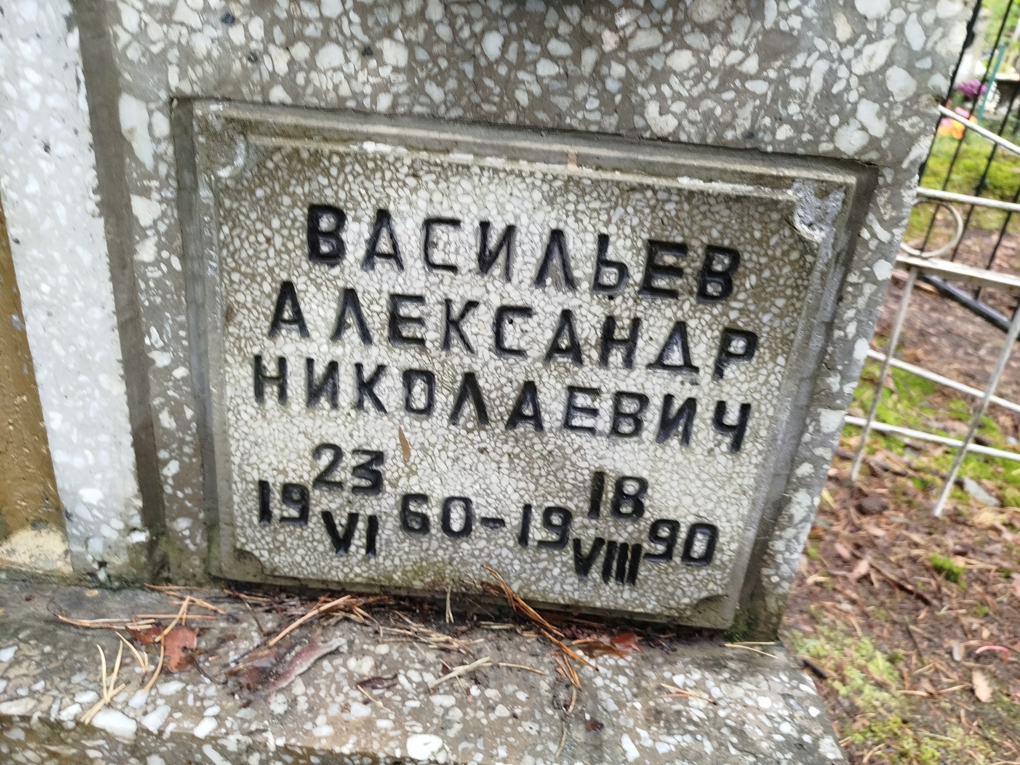 Васильев Александр Николаевич