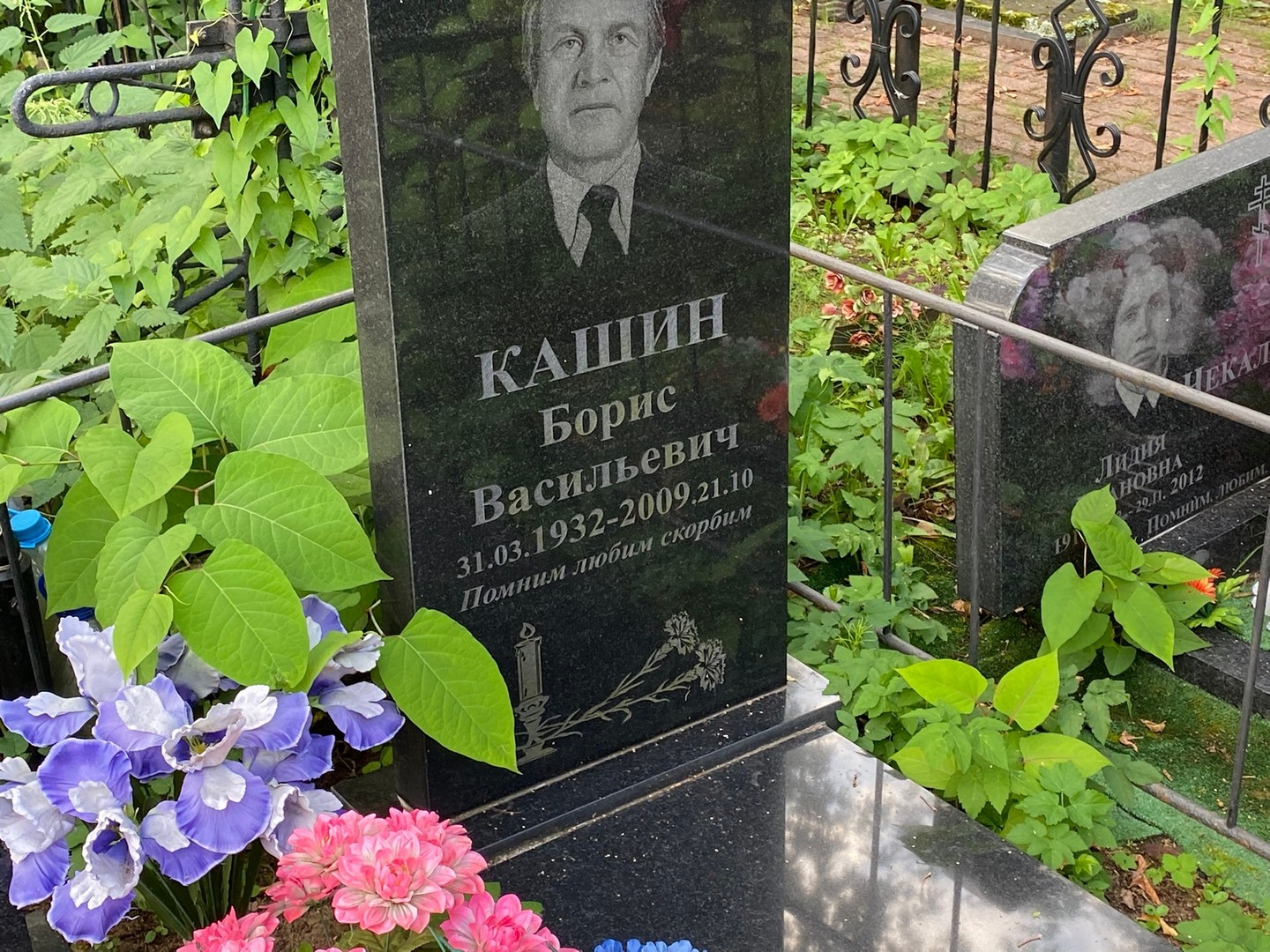Кашин