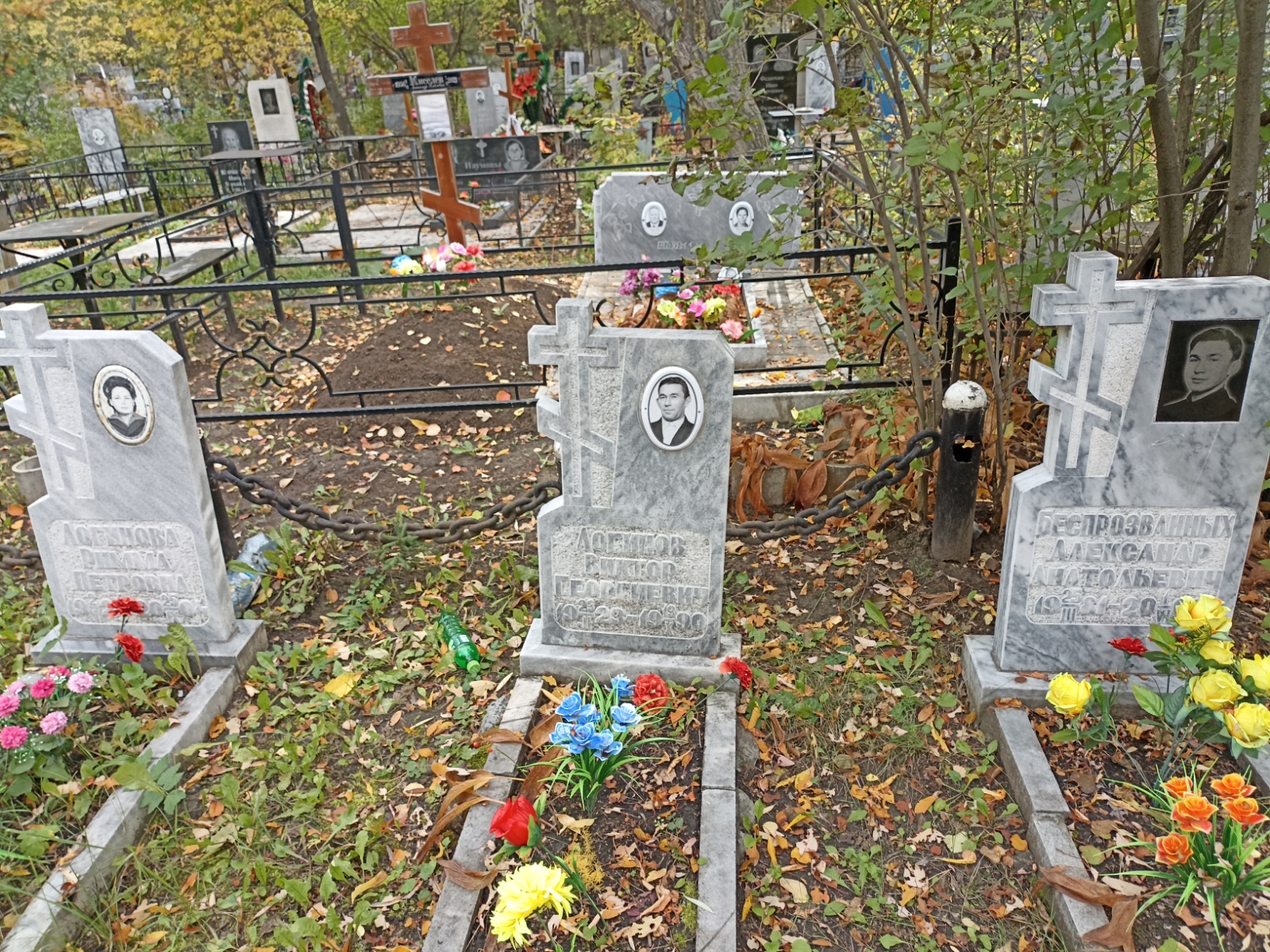 Беспрозванных Александр Анатольевич