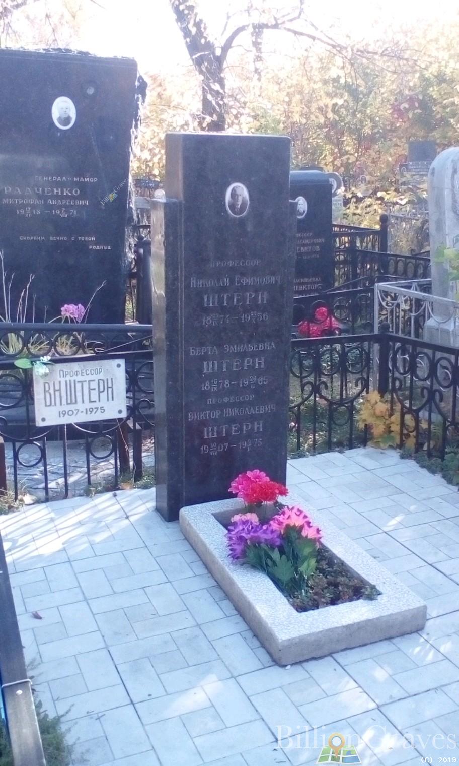 Штерн Берта Эмильевна