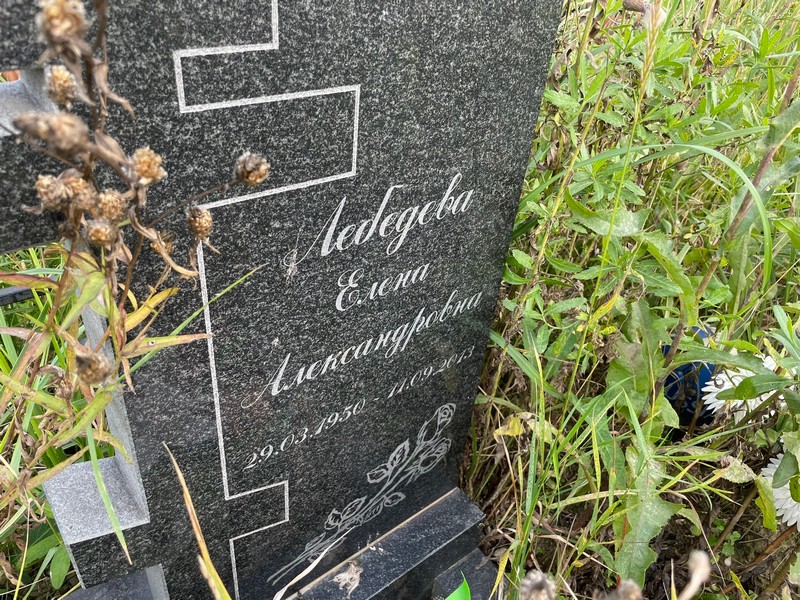Лебедева