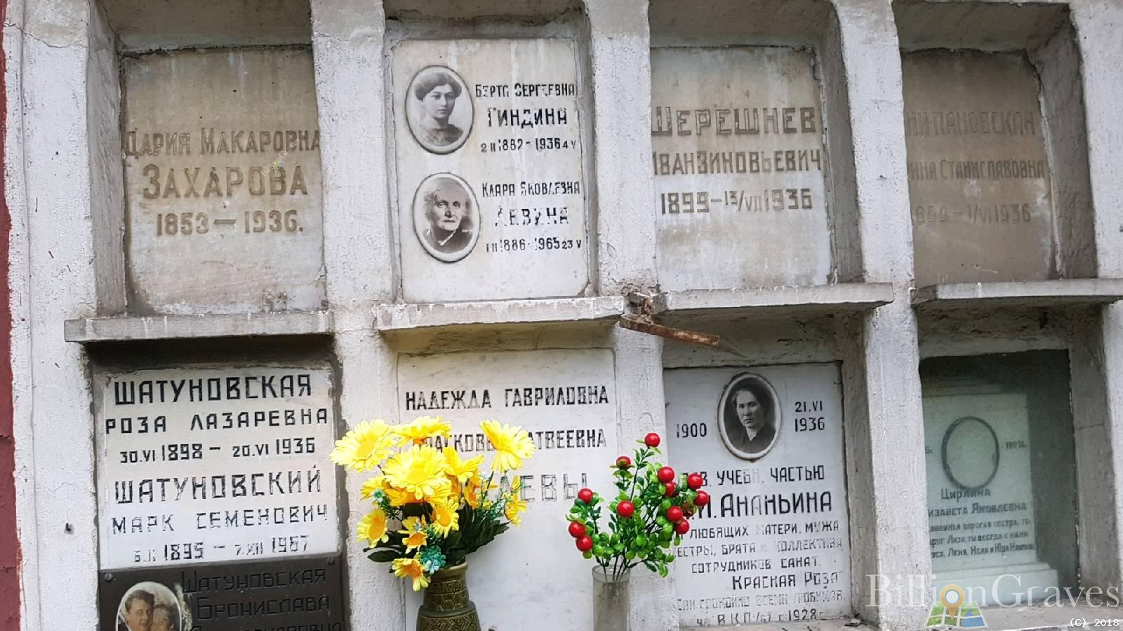 Гиндина Берта Сергеевна