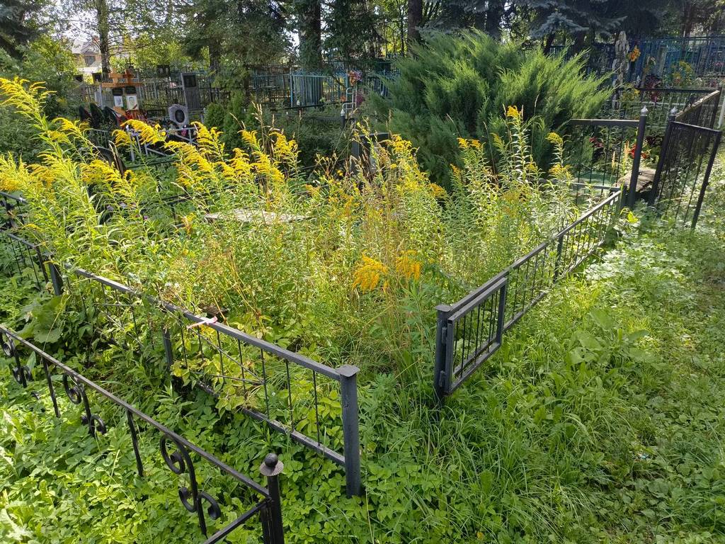 Правский Николай Васильевич