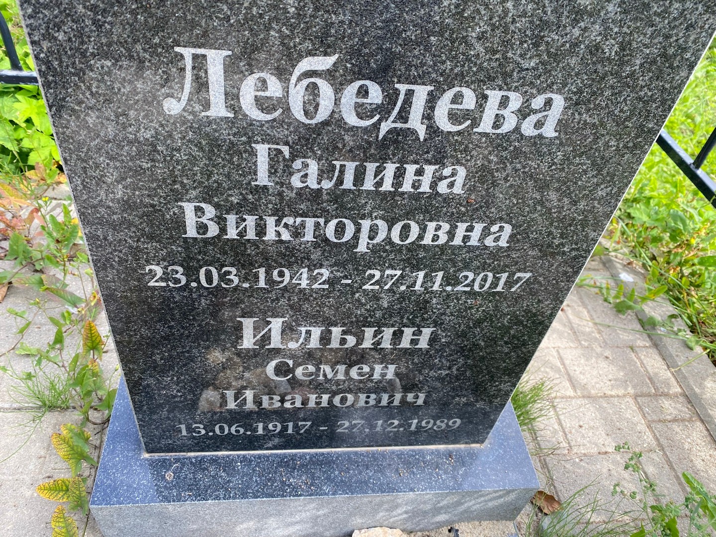 Лебедева