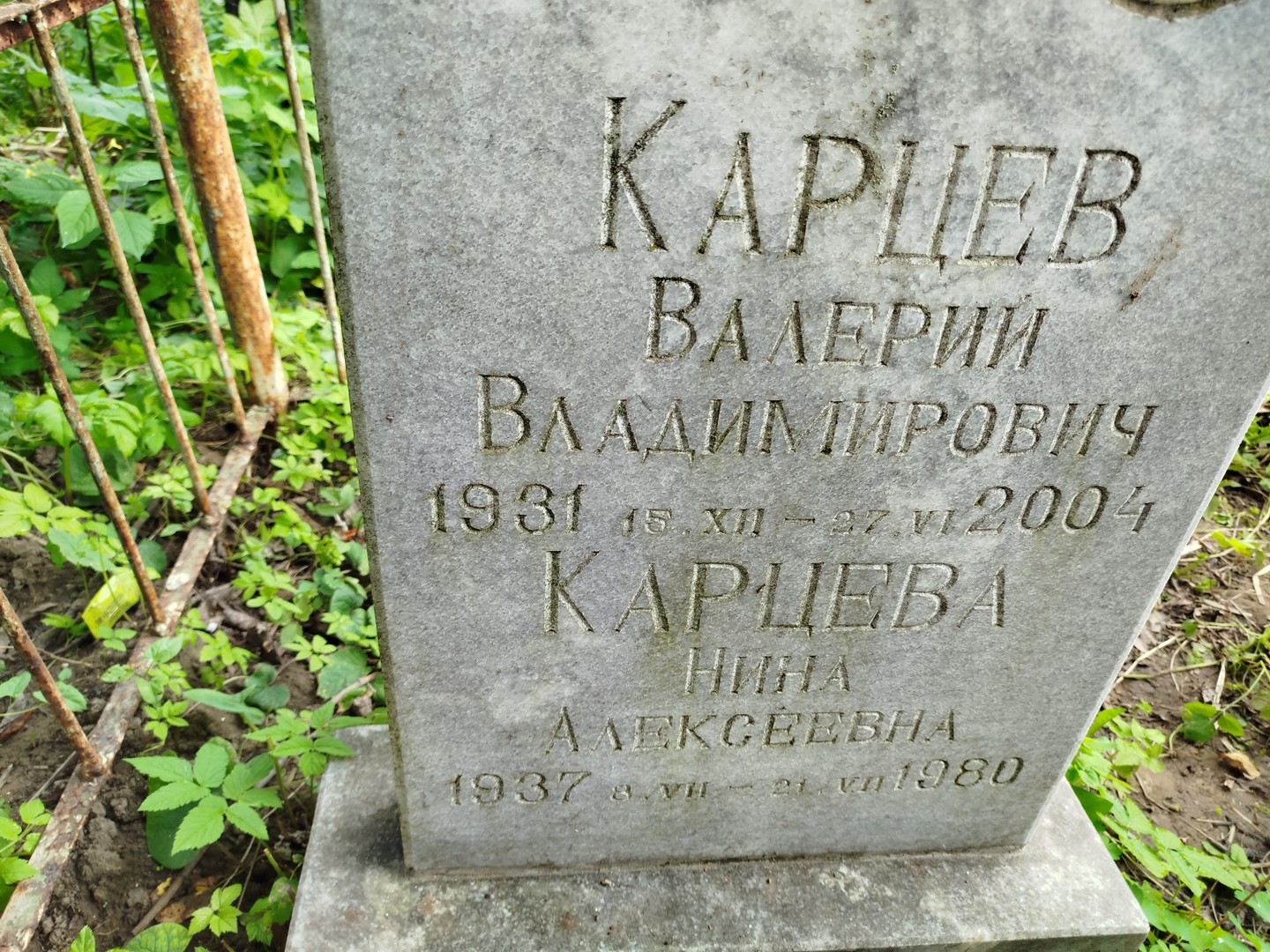 Карцев