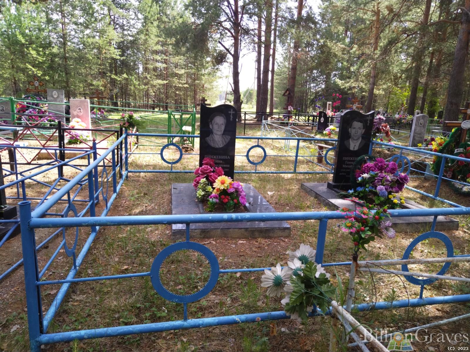 Пинженина Елена Александровна
