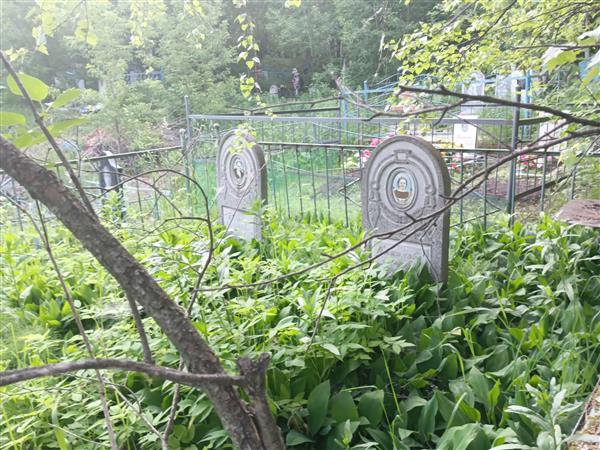 Коминов Владимир Ильич
