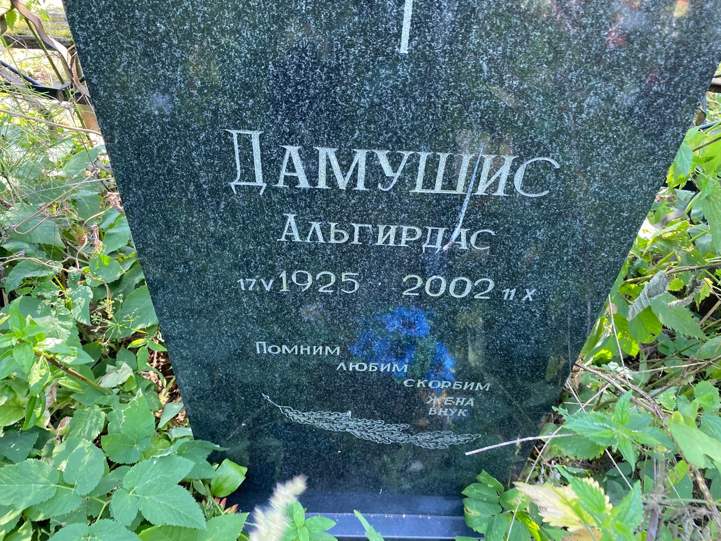 Альгирдас Дамушис