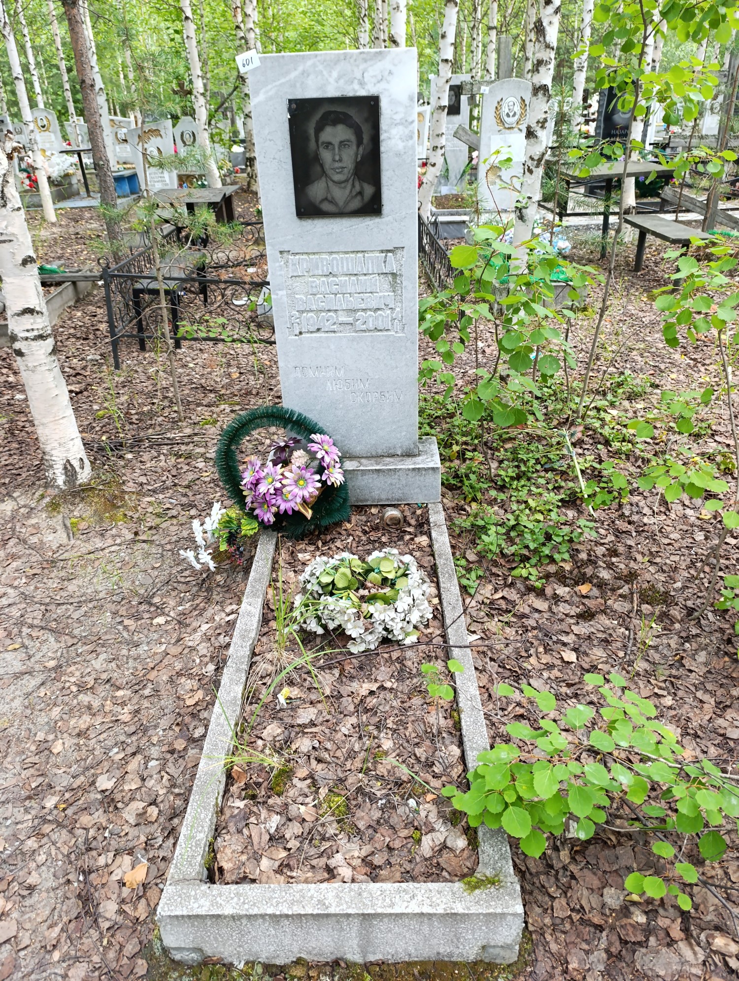 Кривошапка Василий Васильевич