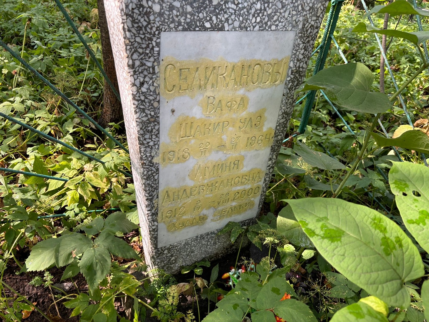 Вафа Селиканова Шакир
