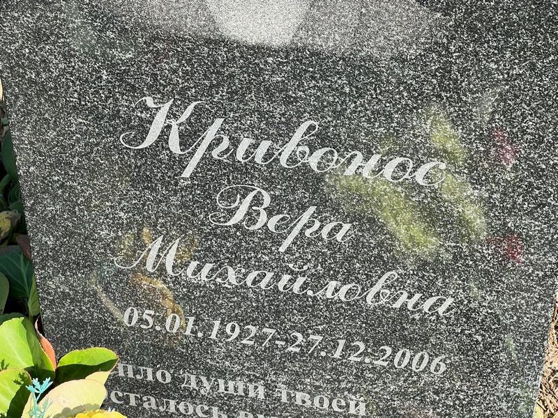 Кривонос