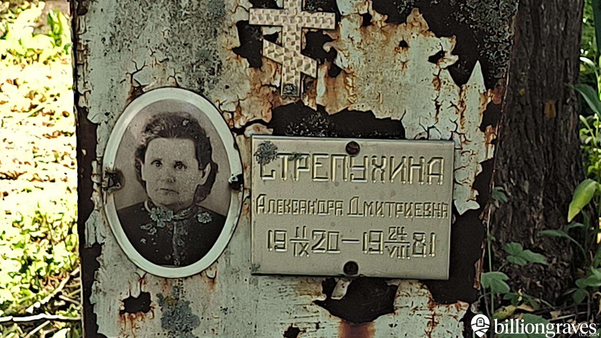 Стрепухина Александра Дмитриевна
