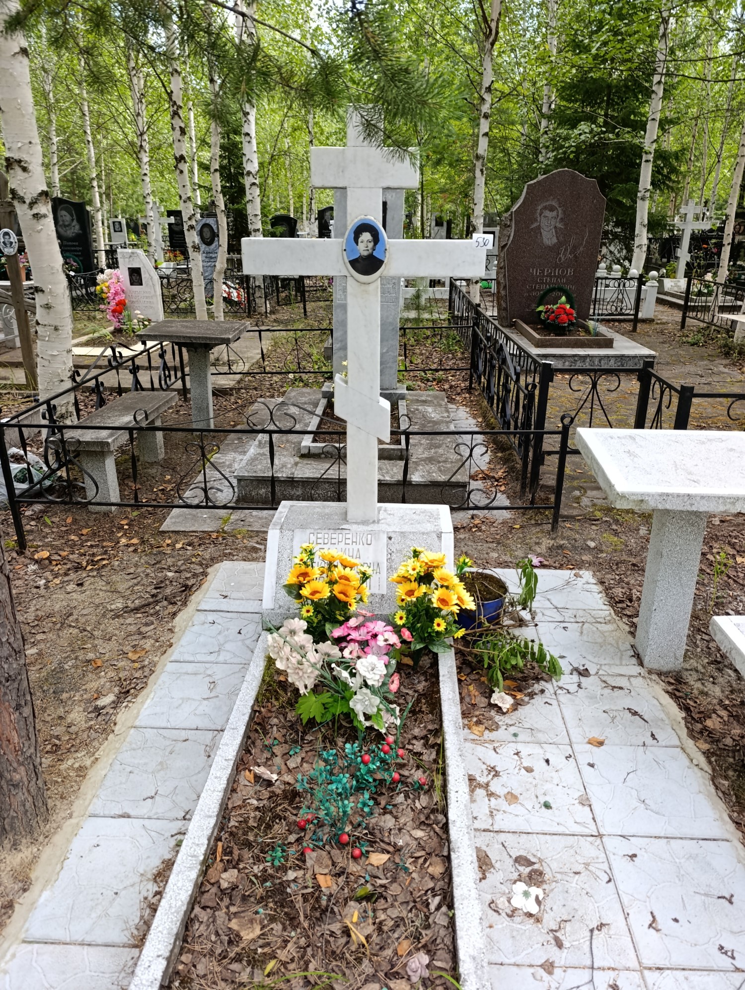 Северенко Галина Александровна