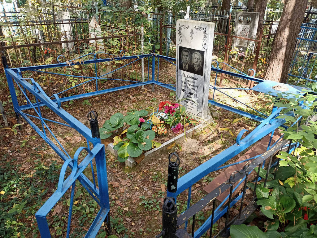 Павленко Николай Григорьевич