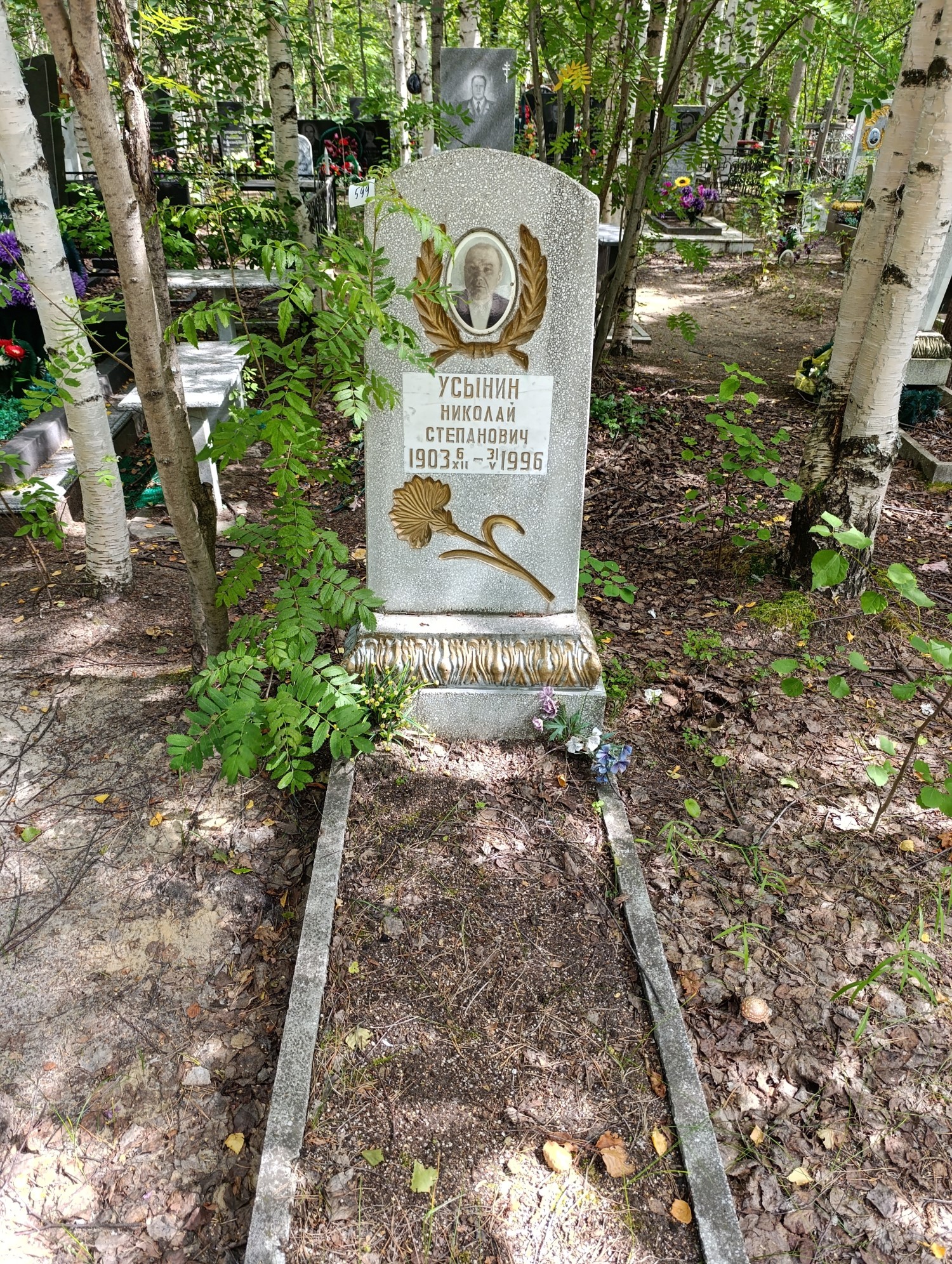 Усынин Николай Степанович