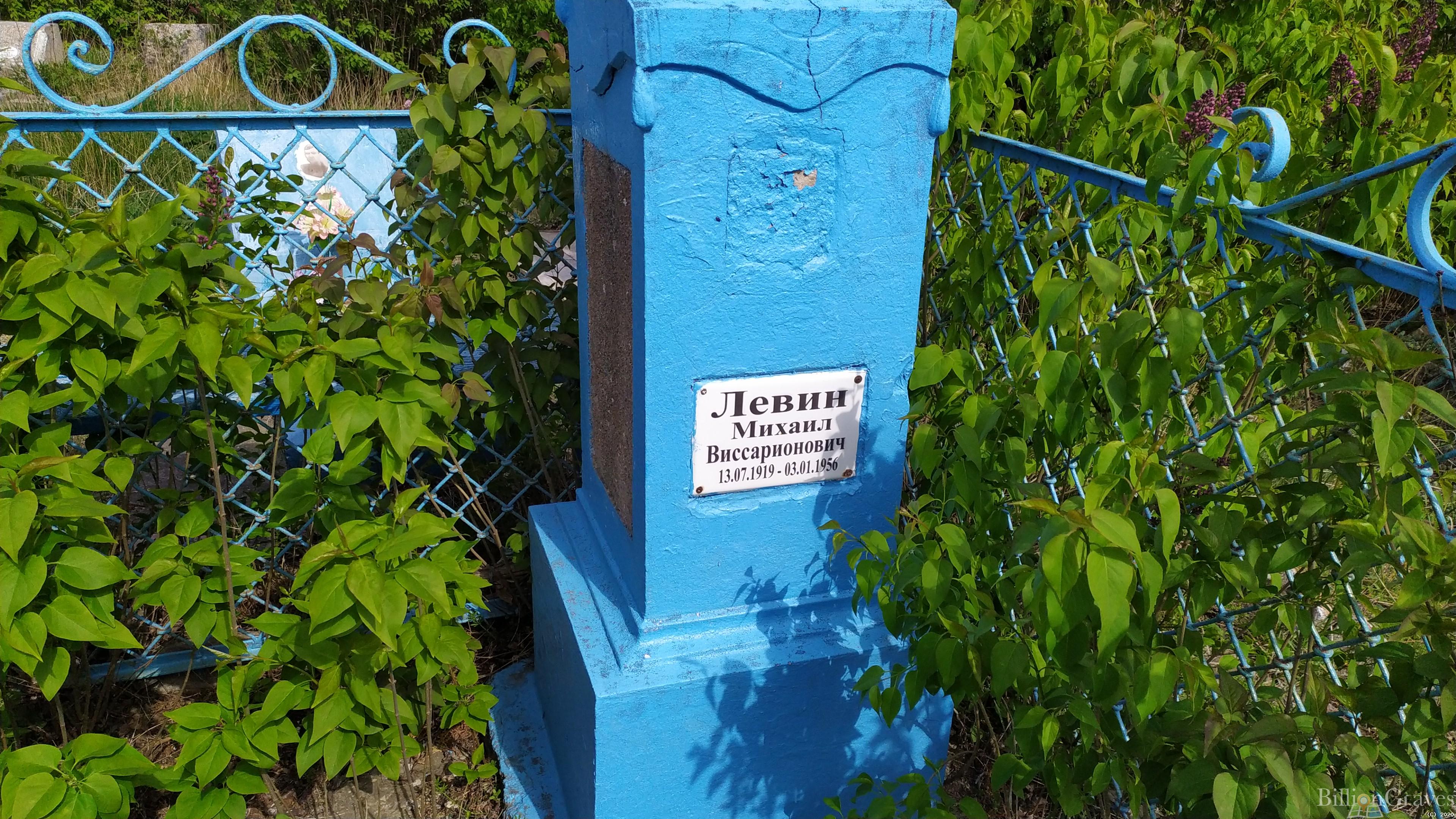 Левин Михаил Виссарионович