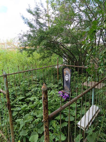 Ильичев Павел Герасимович