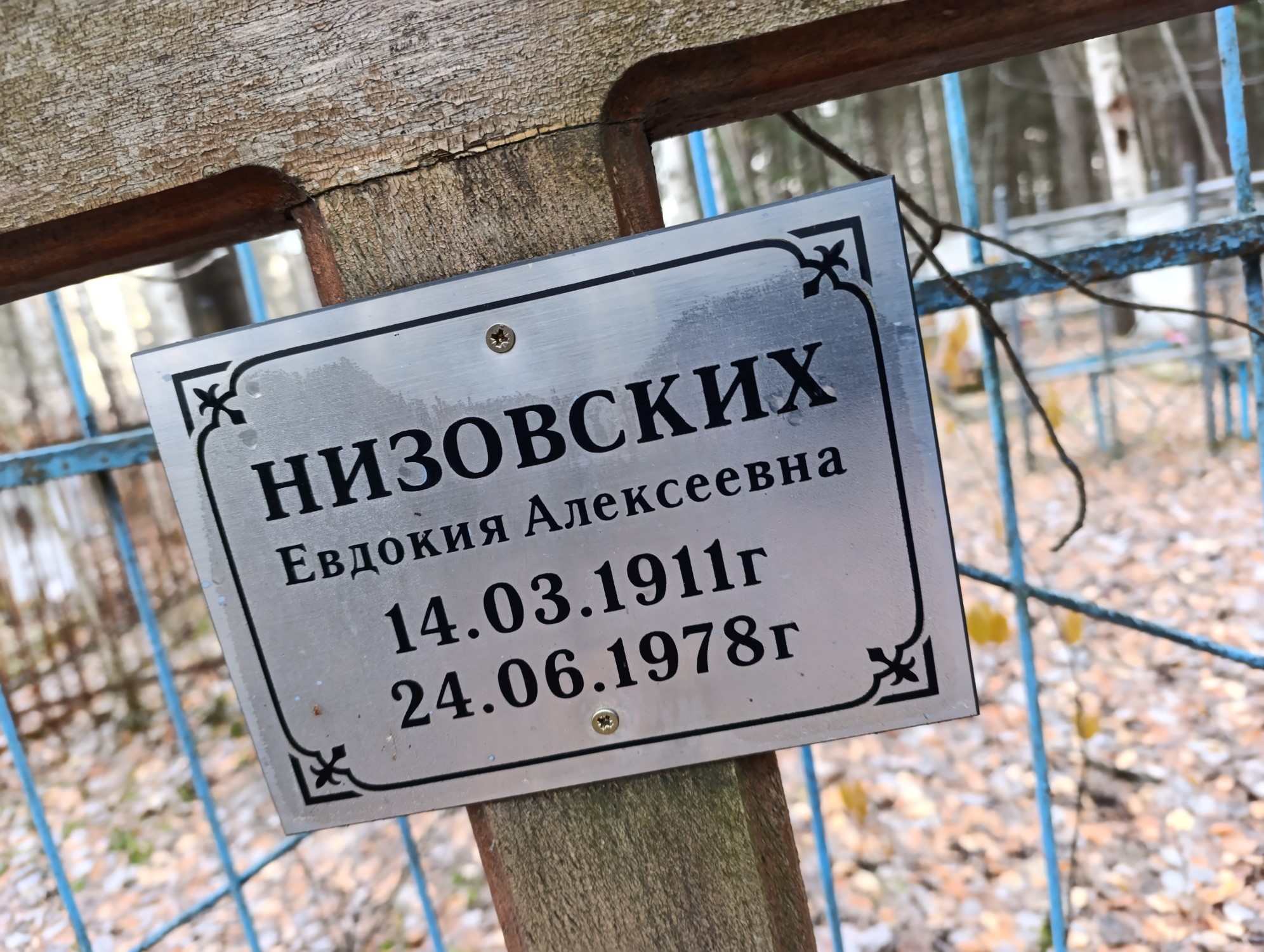 Низовских Евдокия Алексеевна
