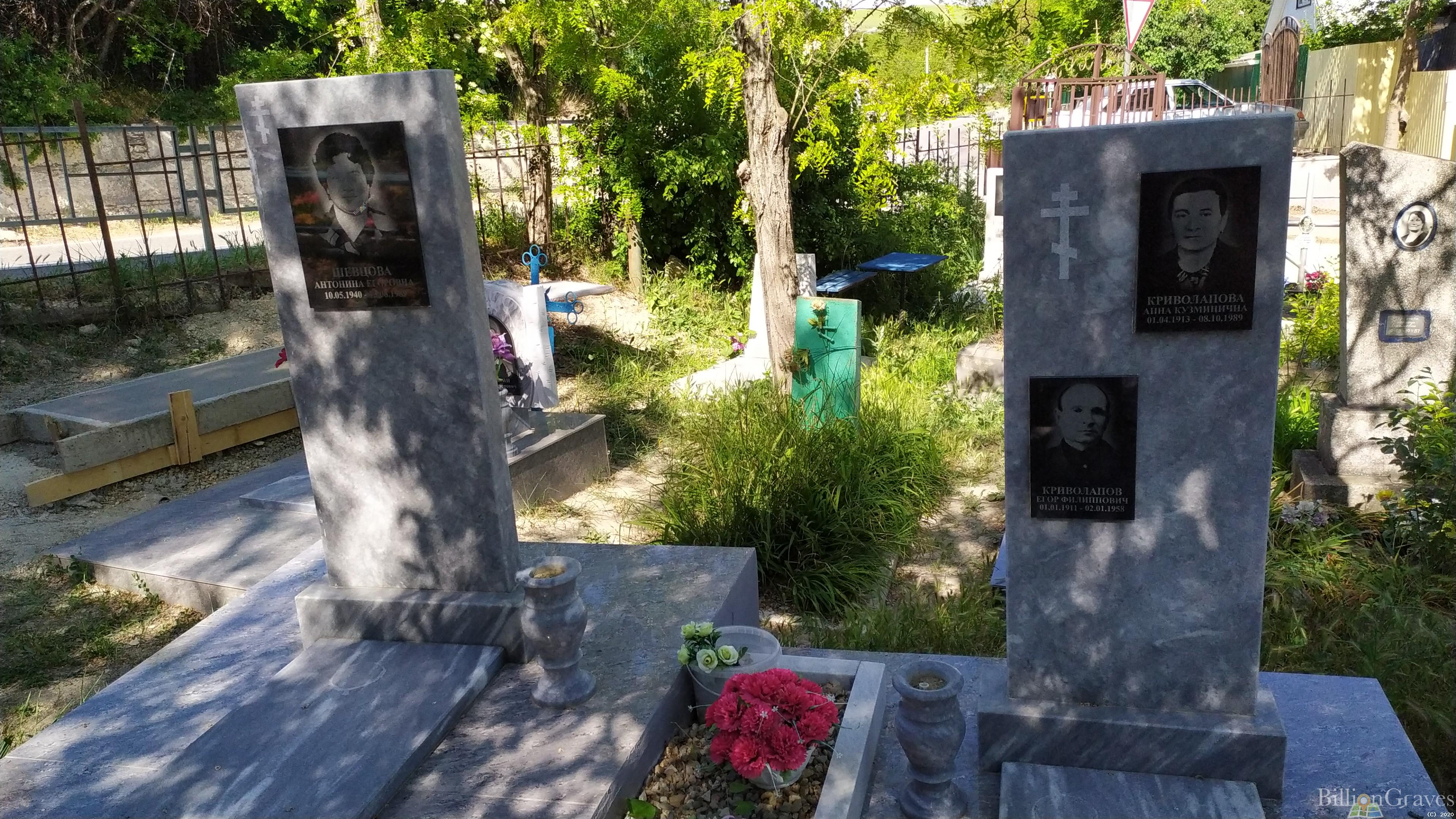 Криволапова Анна Кузьминична