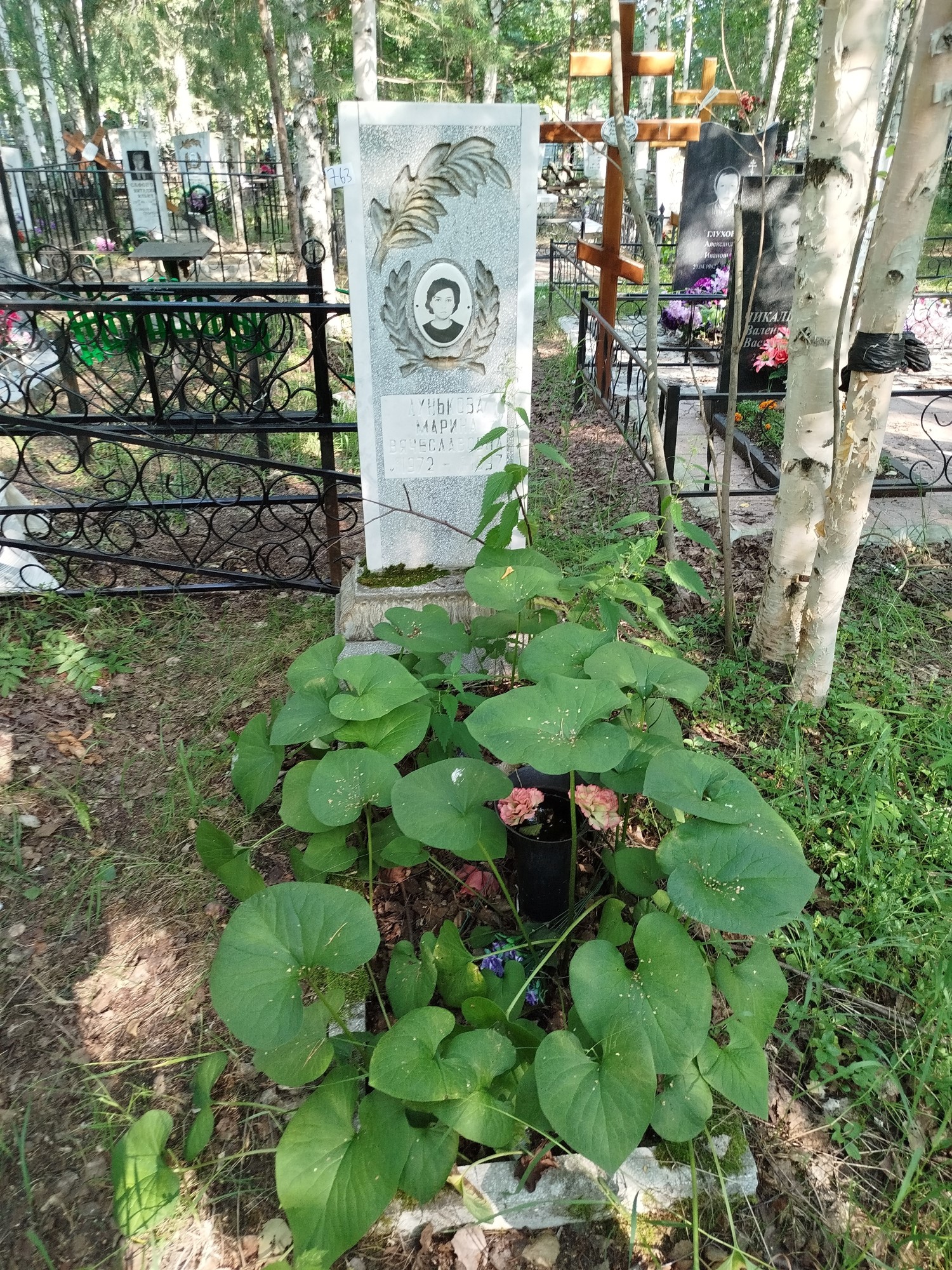 Лунькова Марина Вячеславовна