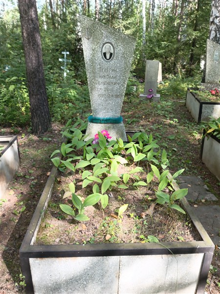 Телегин Николай Семенович