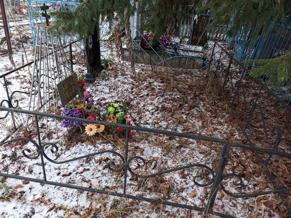 Дитер Анна Николаевна