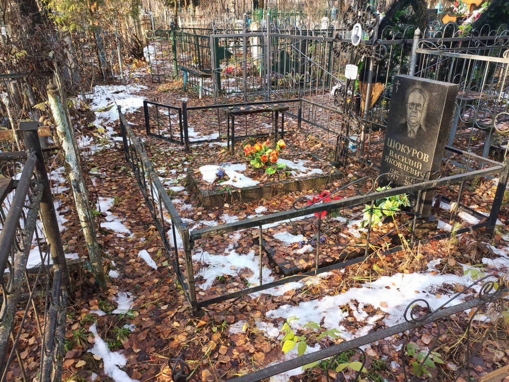 Шокурова Пелагея Васильевна
