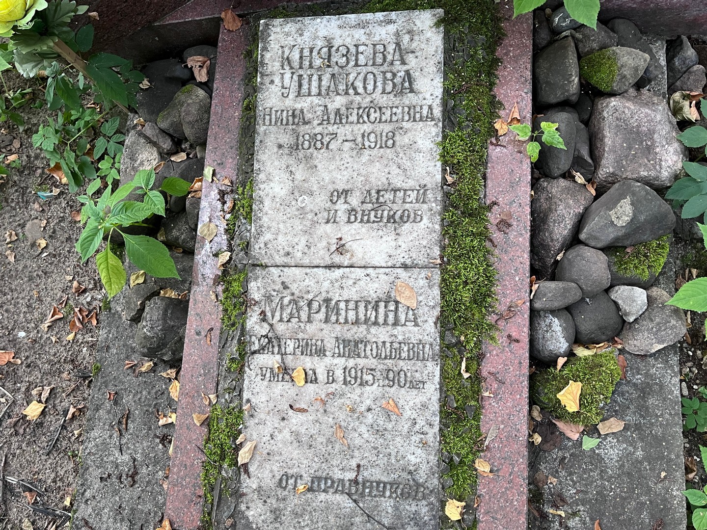 Князева-Ушакова Нина Алексеевна
