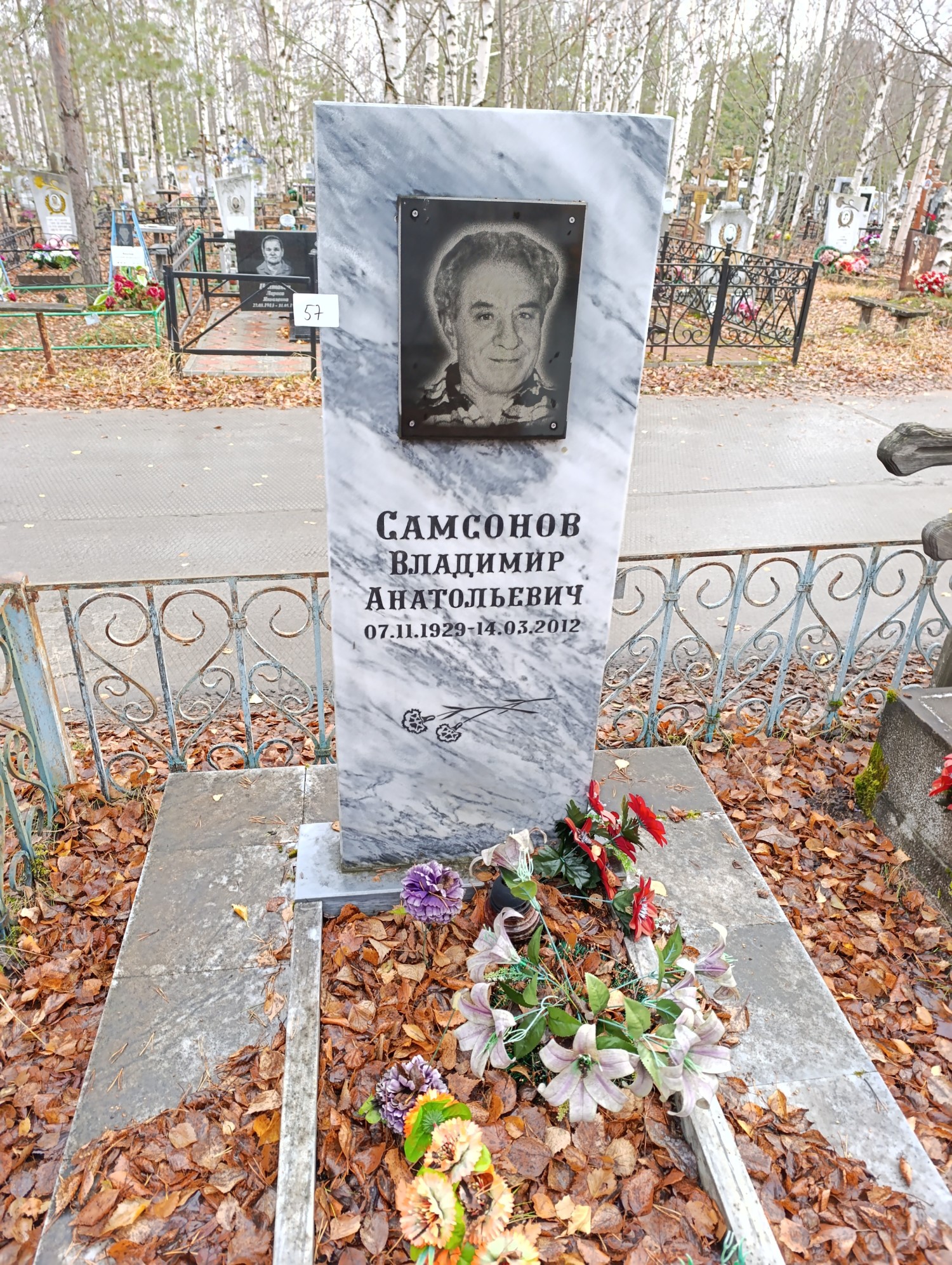 Самсонов Владимир Анатольевич