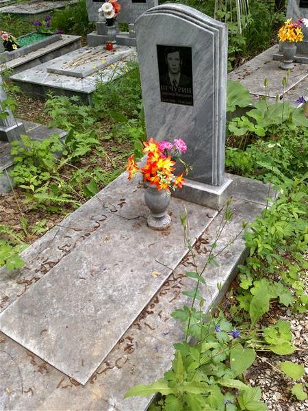 Печурин Александр Николаевич