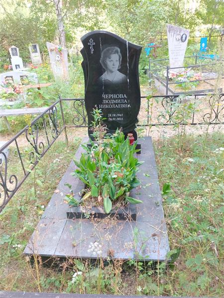 Чернова Людмила Николаевна