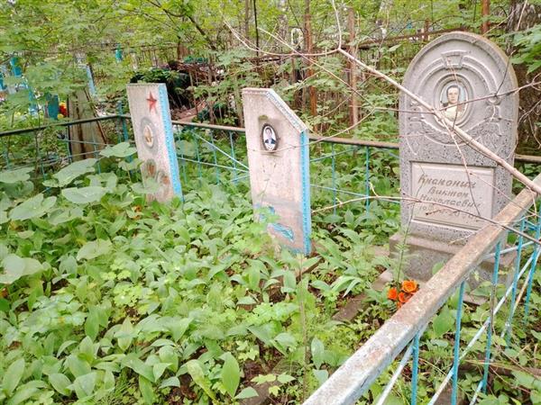 Крапонин Виктор Николаевич