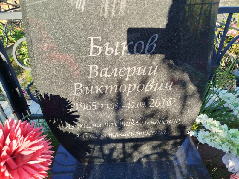 Быков